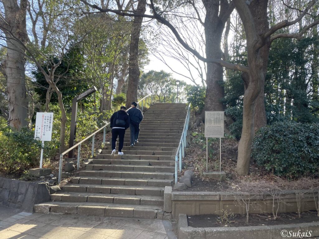 摺鉢山の階段