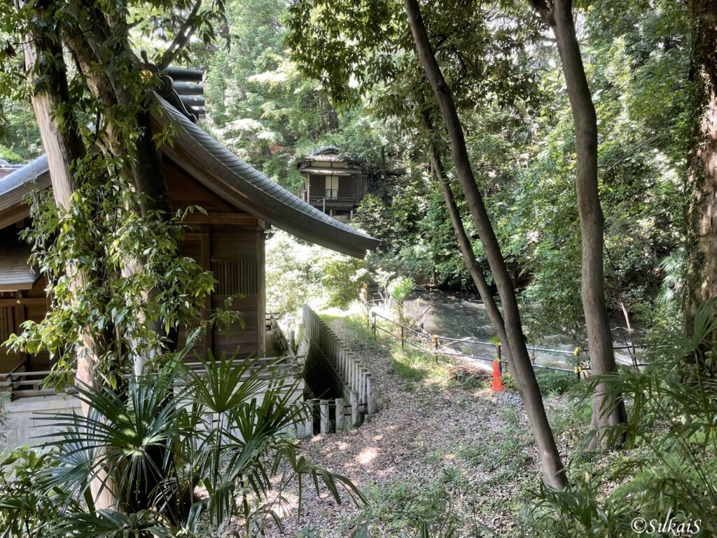白子熊野神社の裏の池