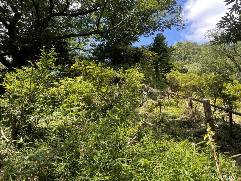 富士塚への登山道