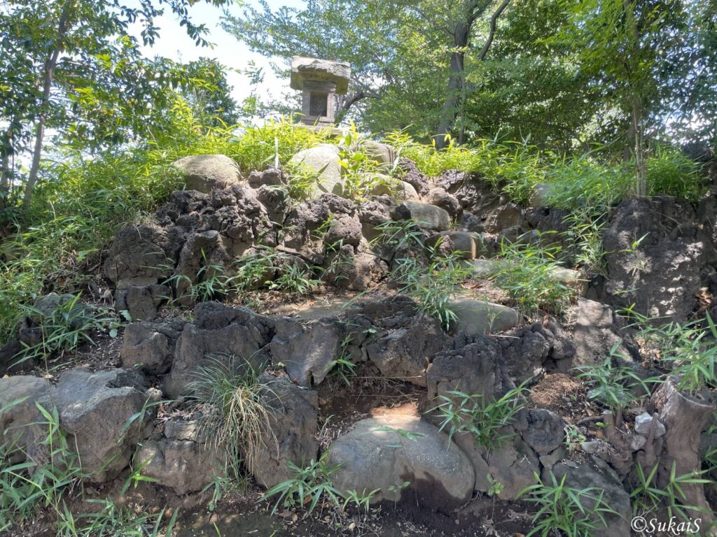 登山道と黒ボク