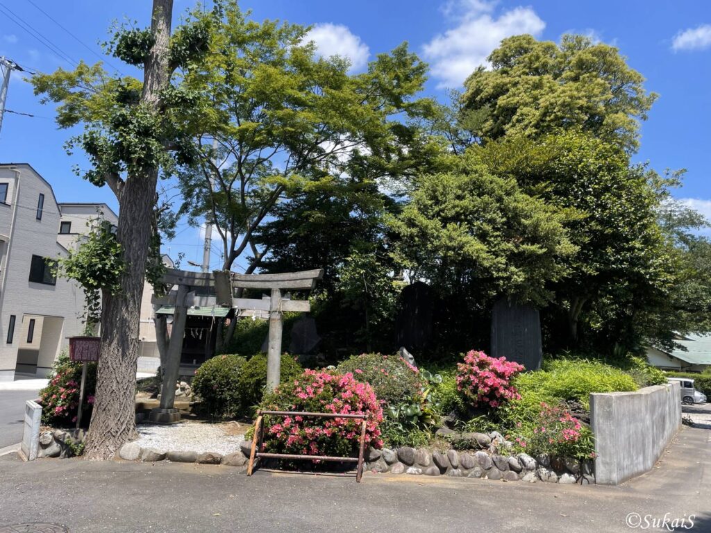 赤塚氷川神社の富士塚