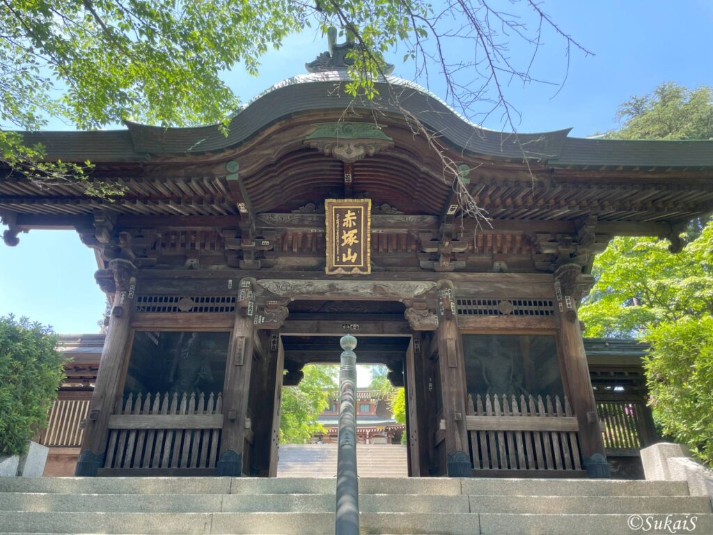 山門の全容