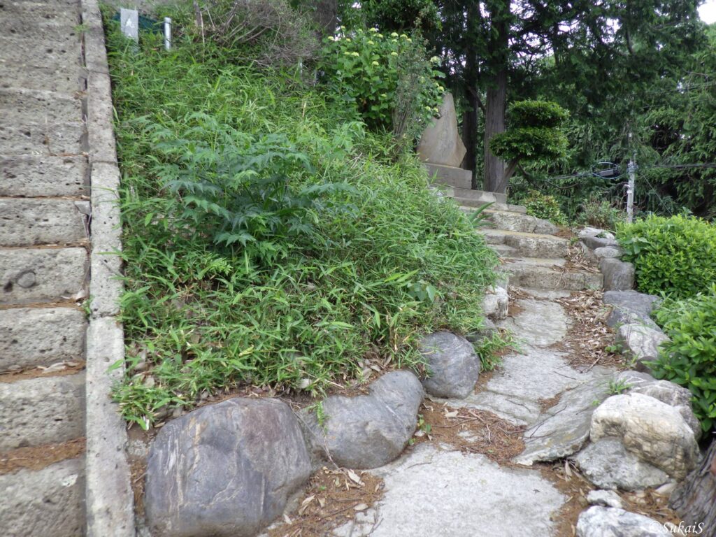 巻くような登山道