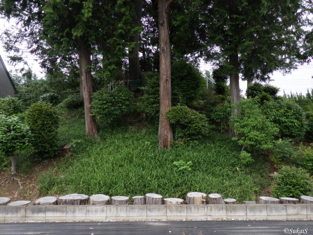 西側からの富士塚