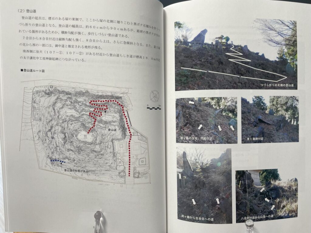 田子山富士塚の概要
