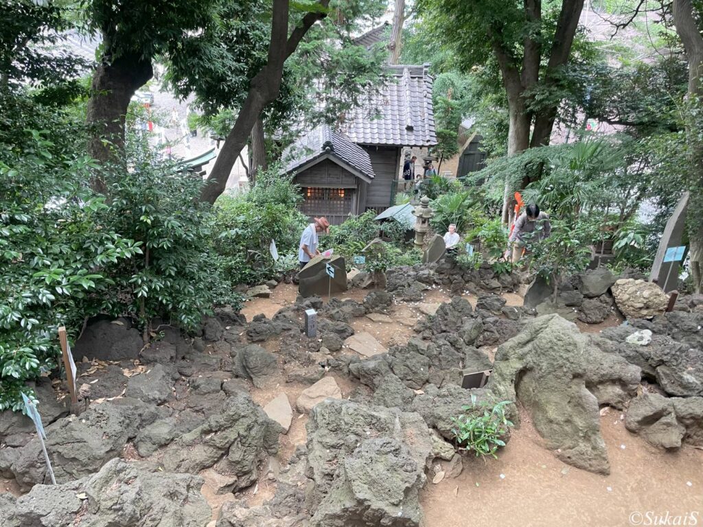 江古田富士塚の山頂からの眺め