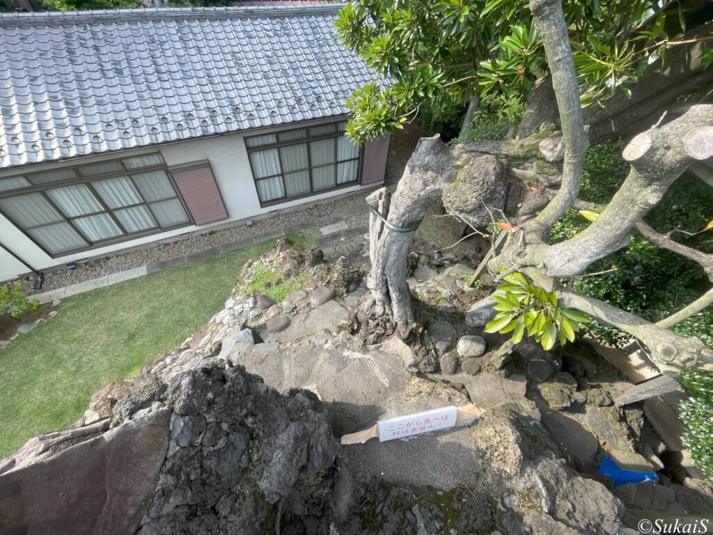 池袋富士塚の山頂からの眺め