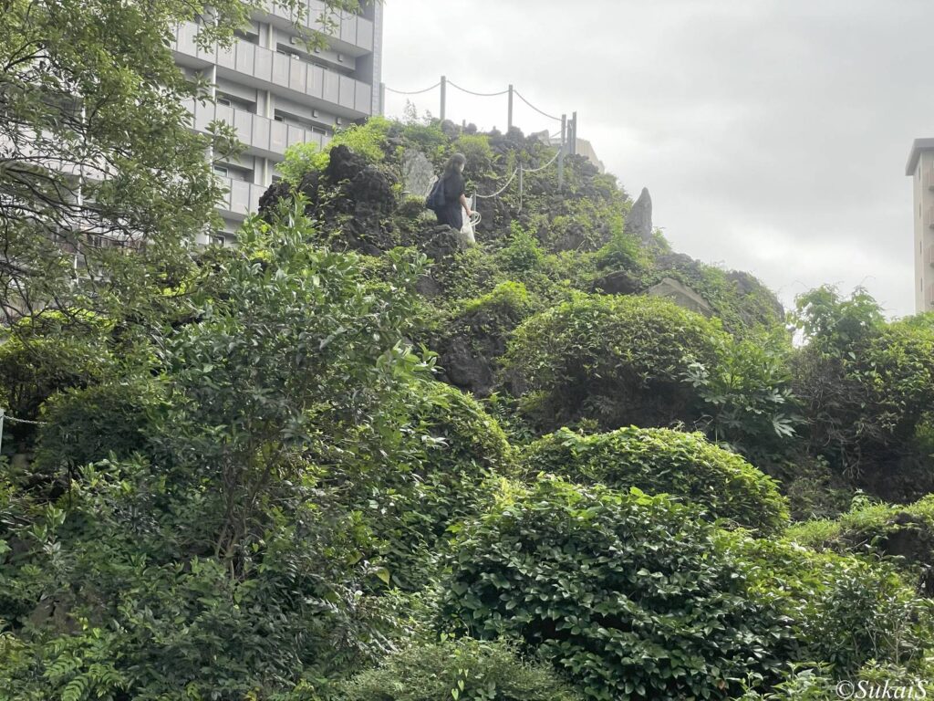 南の方向から富士塚を眺める