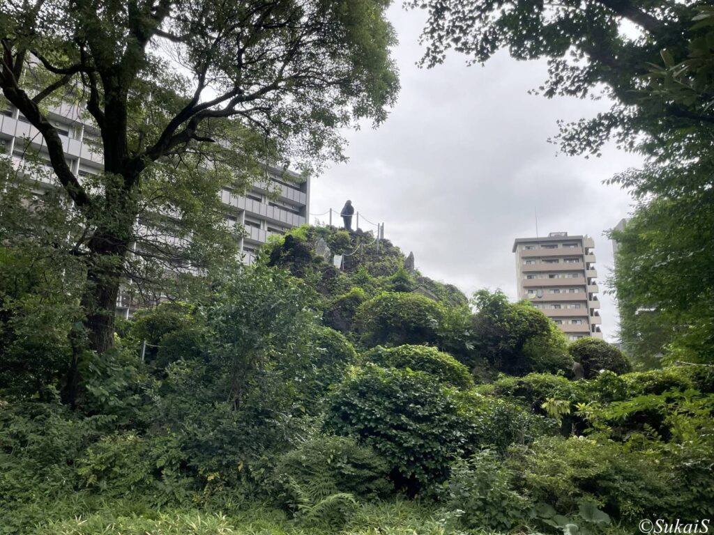 南の方向からの鳴子富士