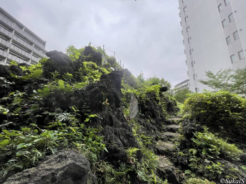 表面は黒ボクで構成されている。