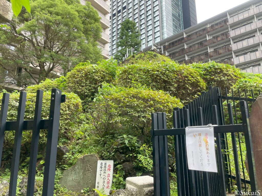 北東方向からの鳴子富士