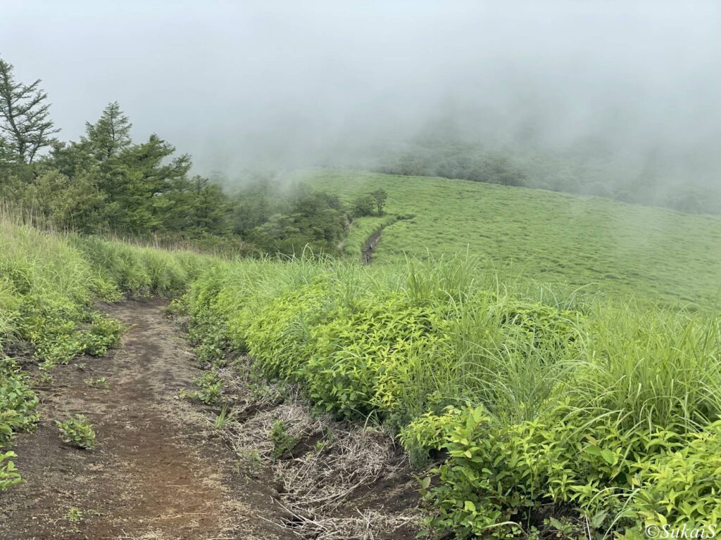 鉄砲木の頭の西への下り