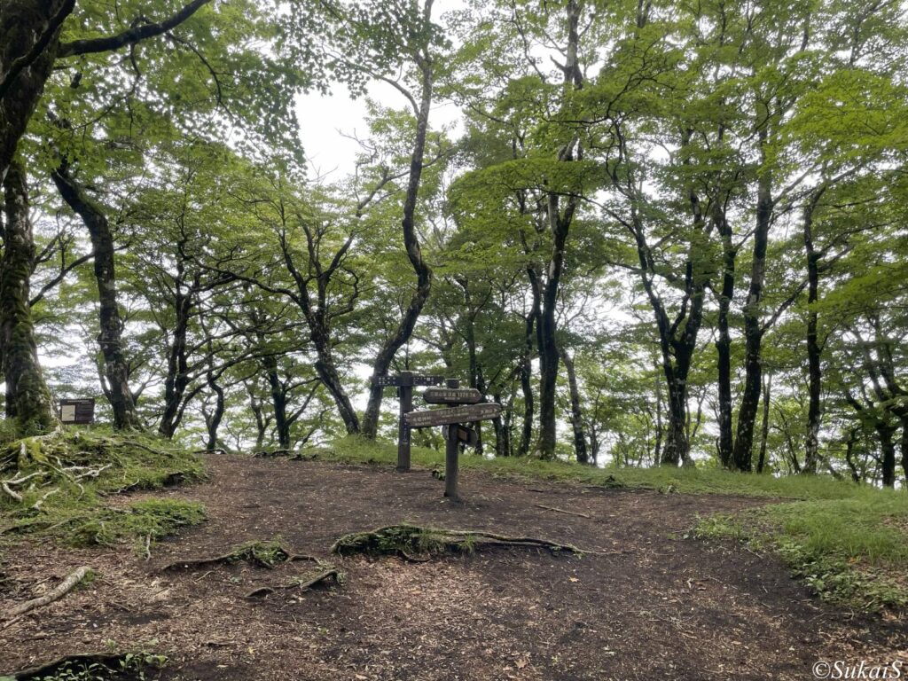 三国山山頂