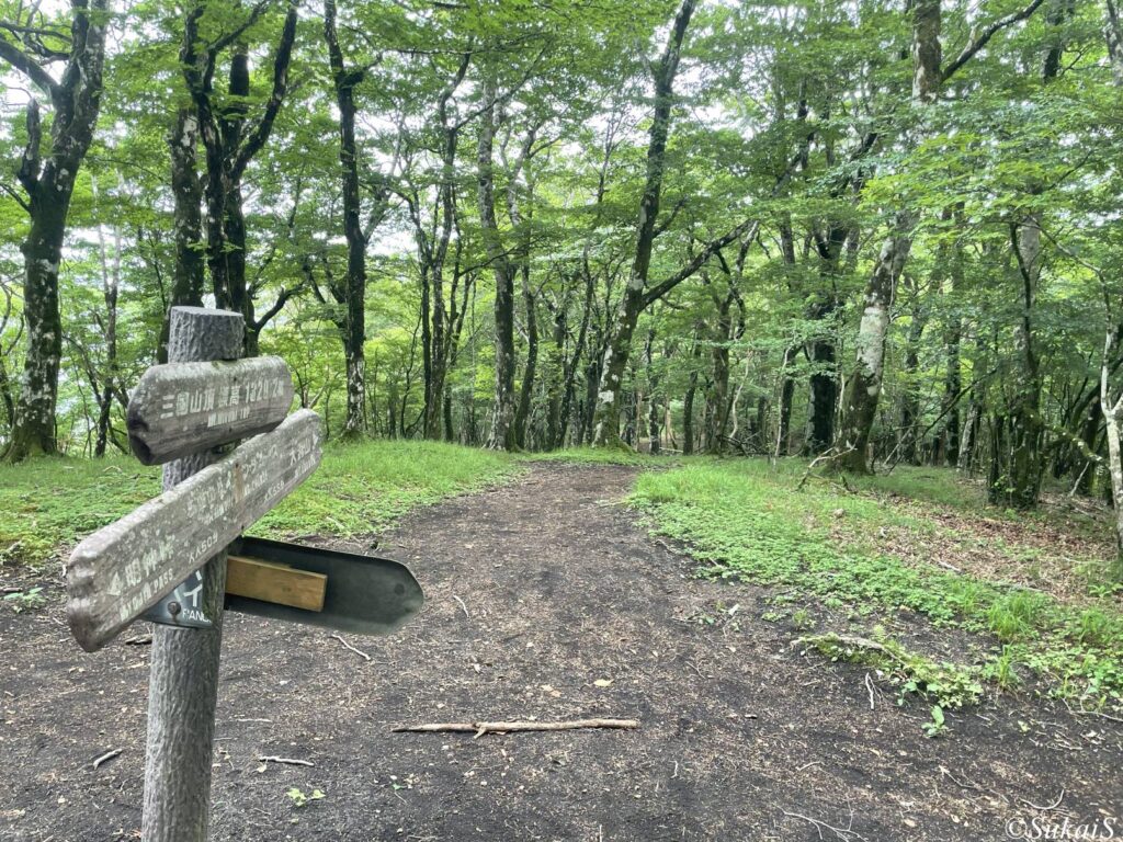 三国山の分岐