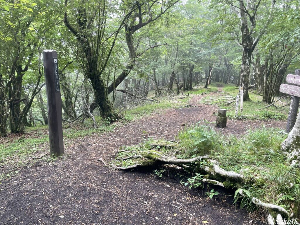 大洞山