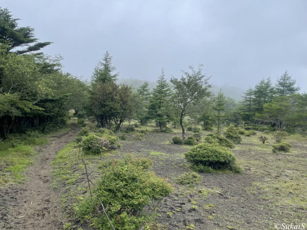 開けている場所