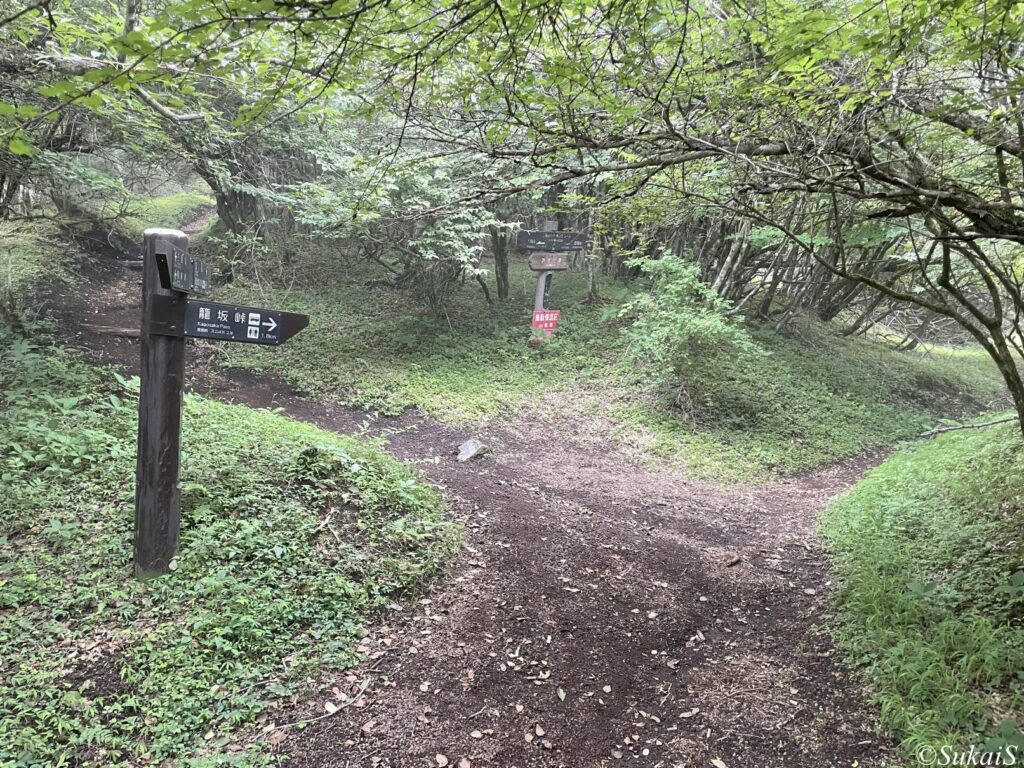 アザミ平の分岐
