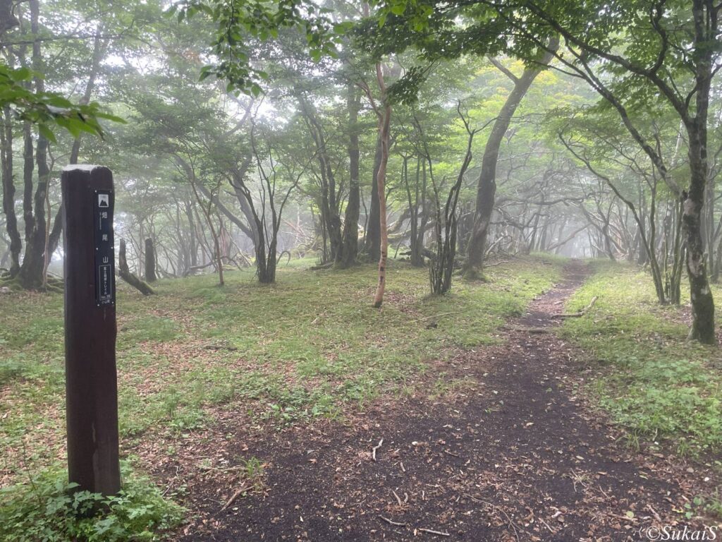 畑尾山
