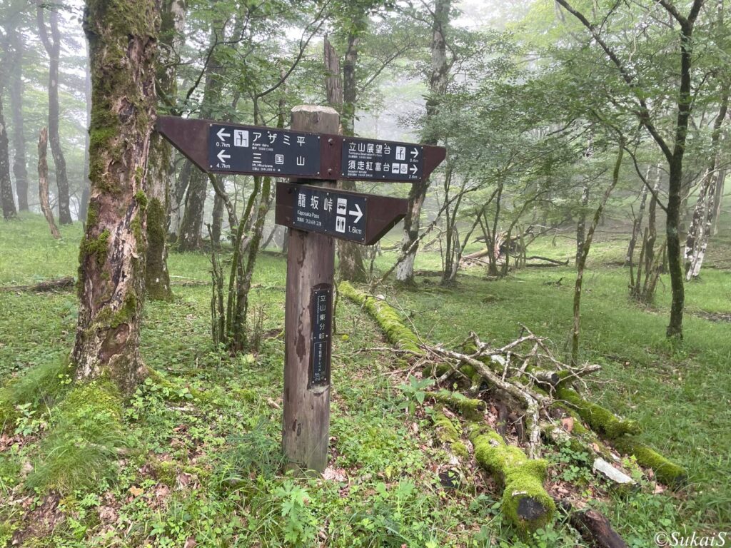 立山東分岐