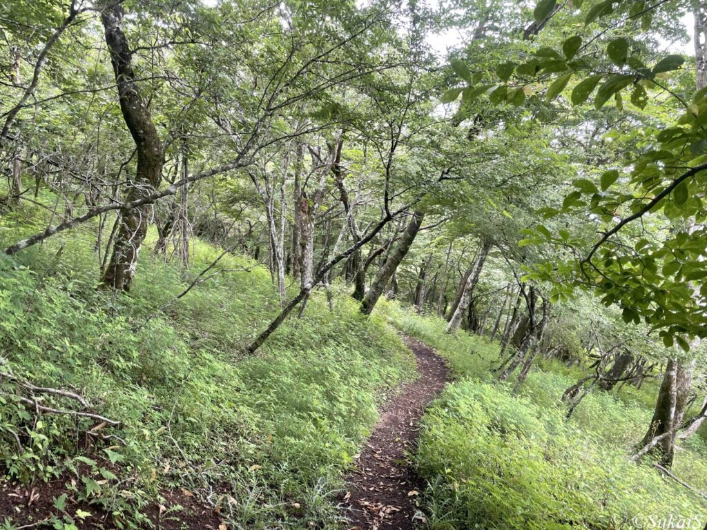 須走に向けて下山中