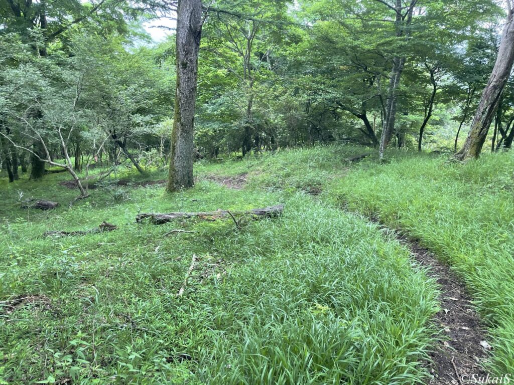 須走に向けて下山中