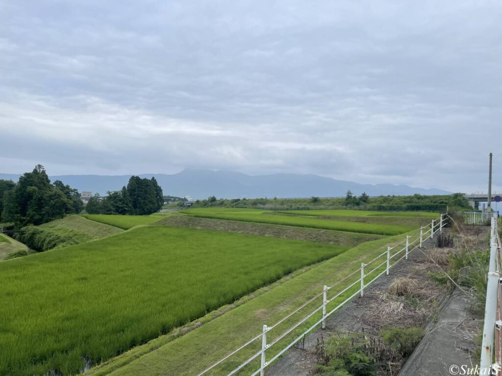 箱根の山を望む
