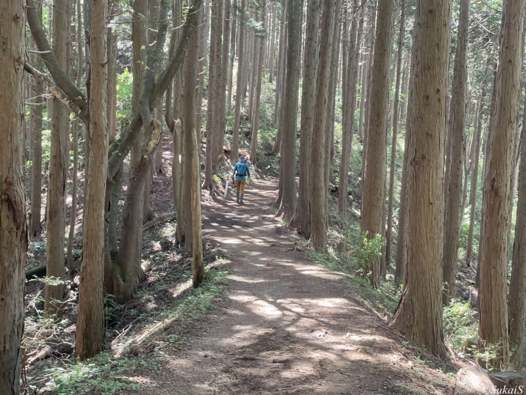 奥高尾縦走コース