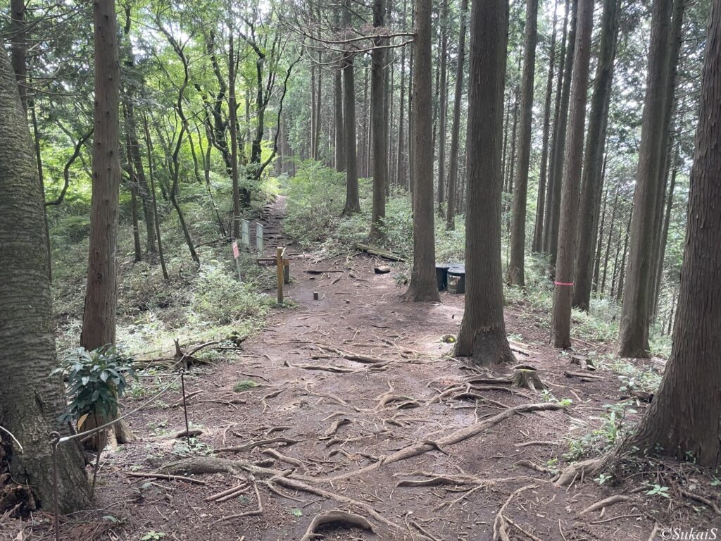 底沢峠