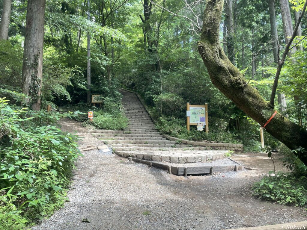 5号路に到達