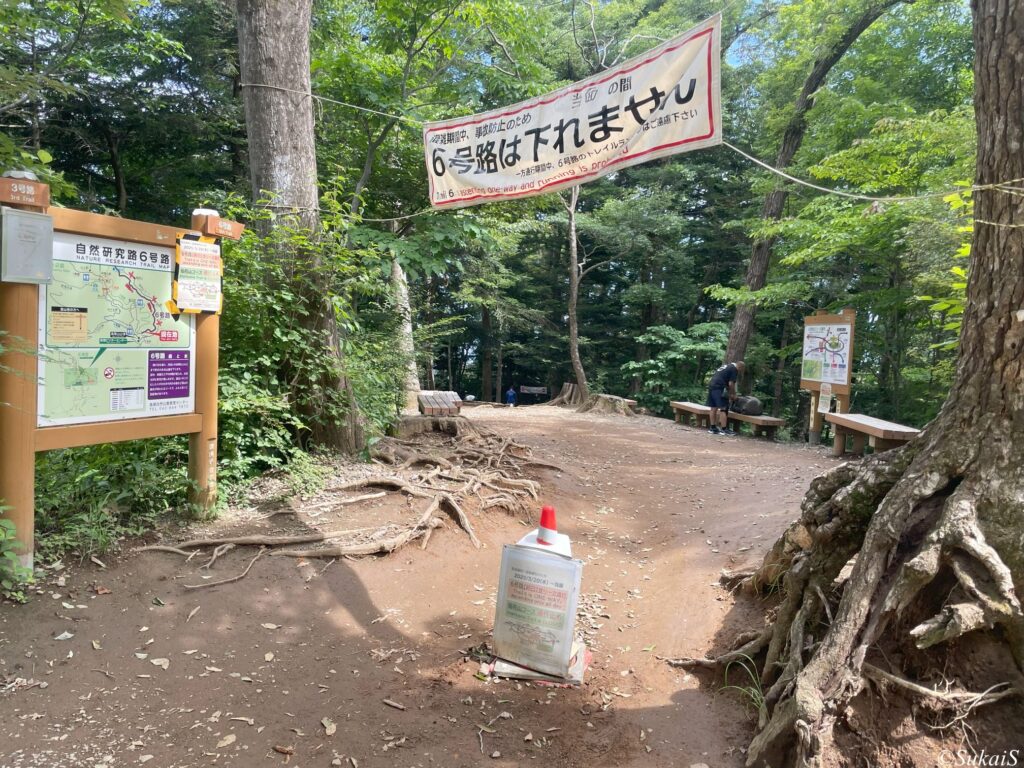 6号路との分岐