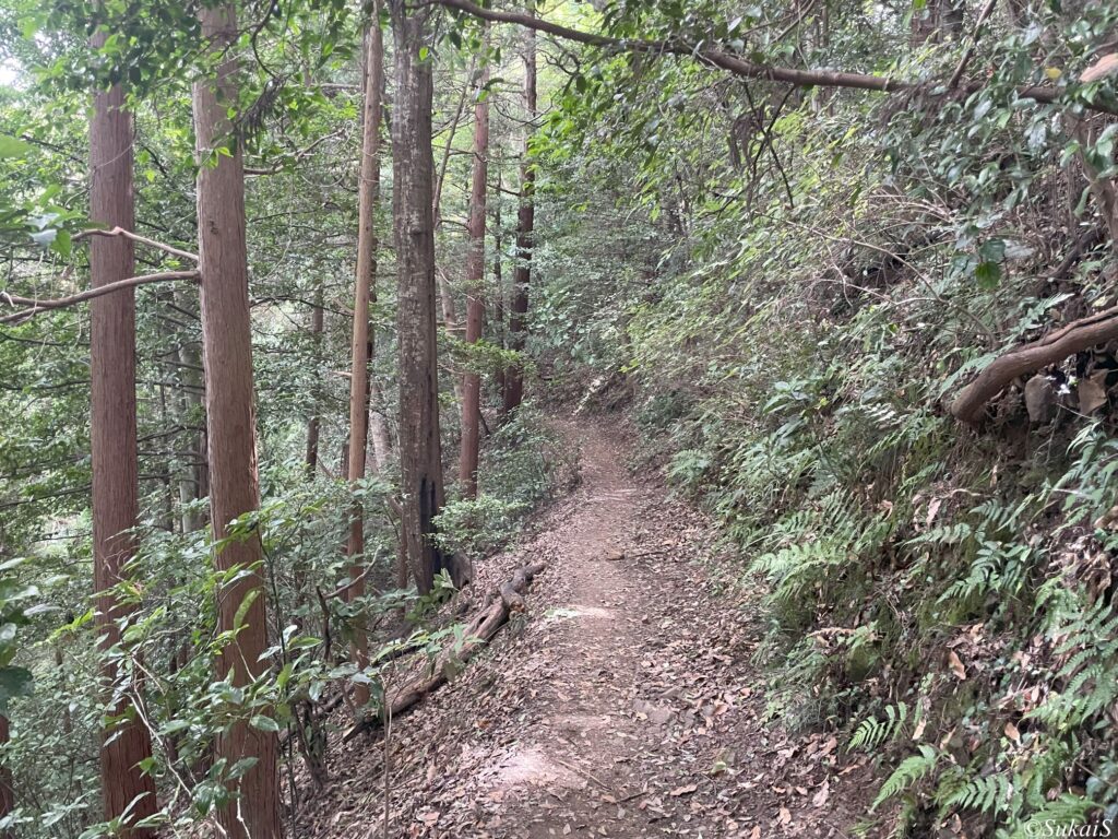 3号路