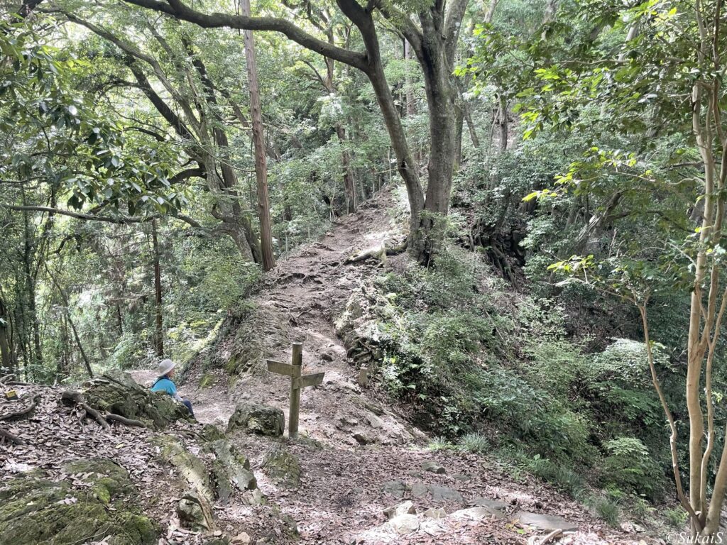 6号路との分岐、二本松
