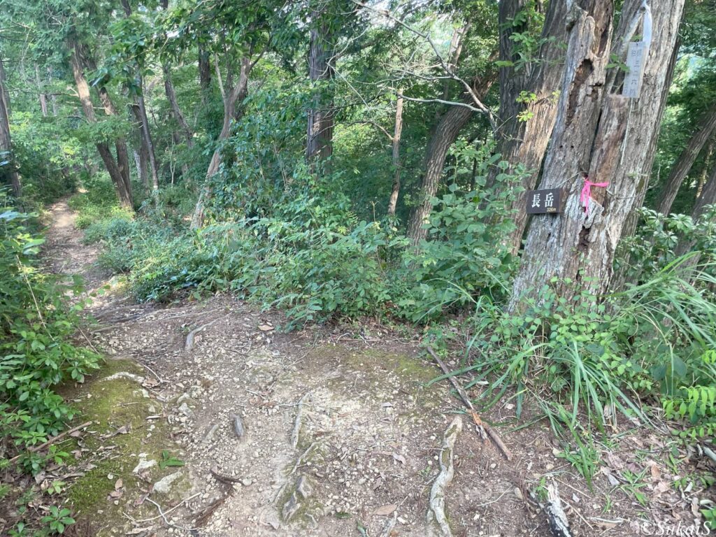 長岳