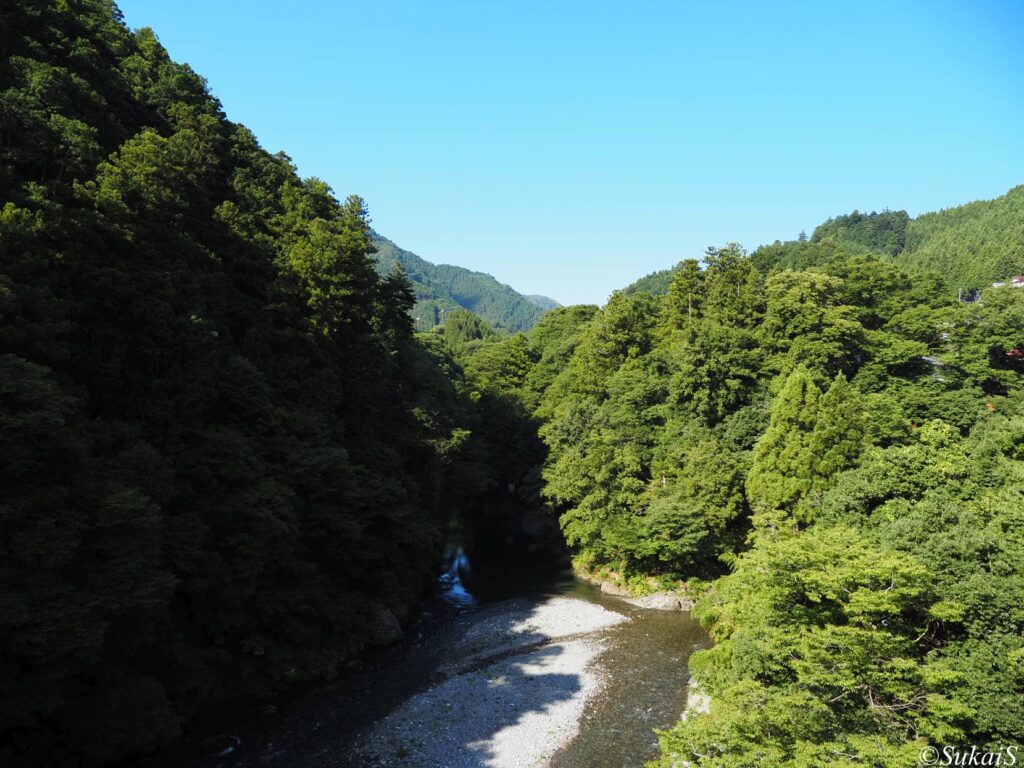 昭和橋からの多摩川の眺め
