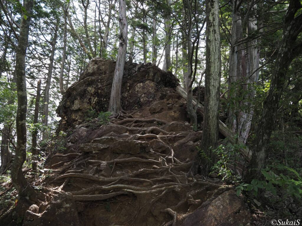鋸尾根の岩場