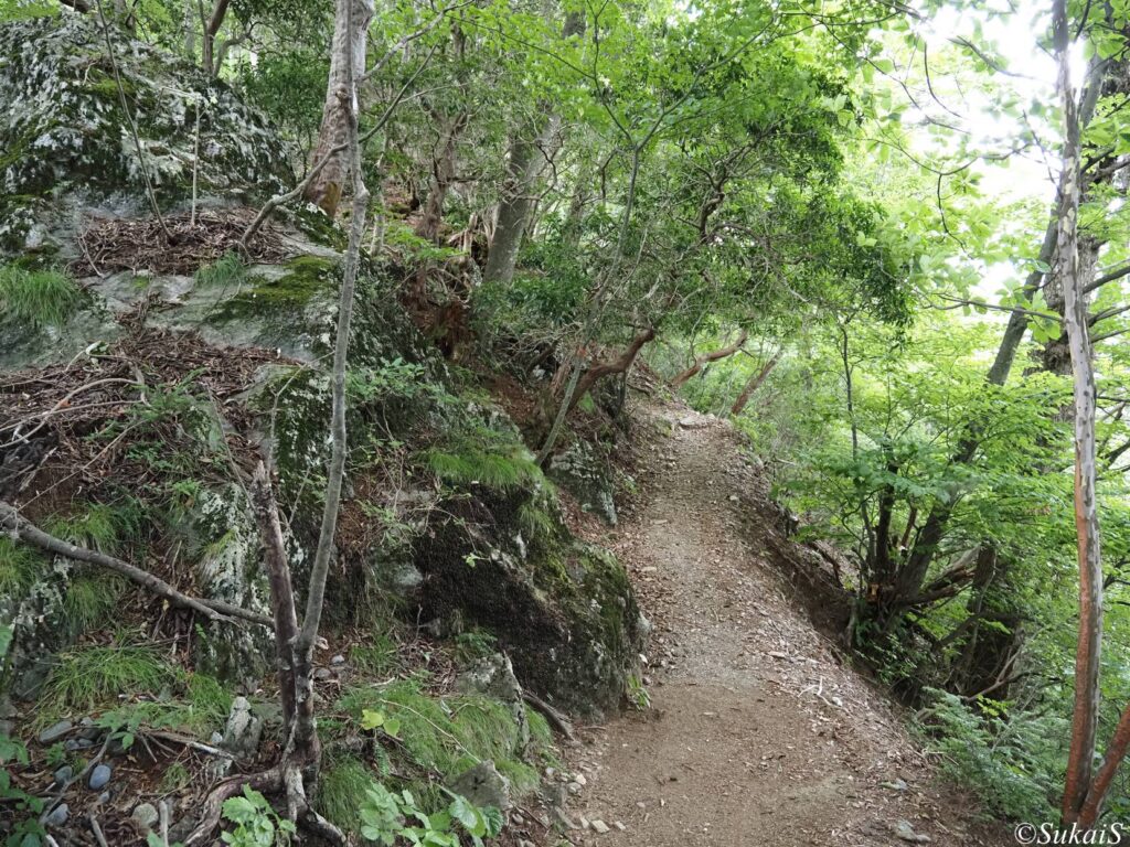鋸尾根の登山道