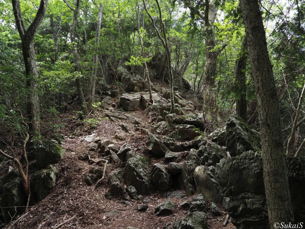 尾根の道