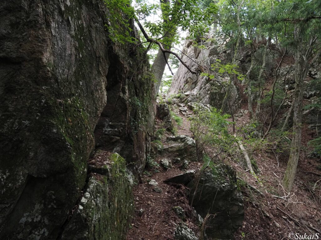 つづら岩のふもと