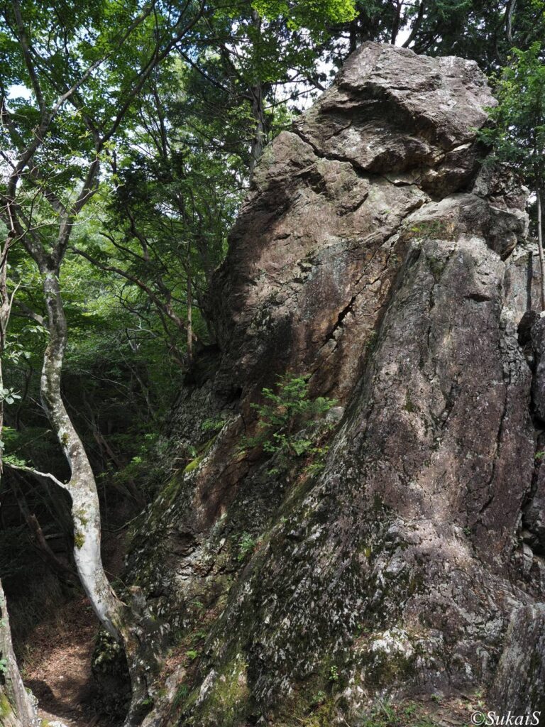 鞍部から南側の岩
