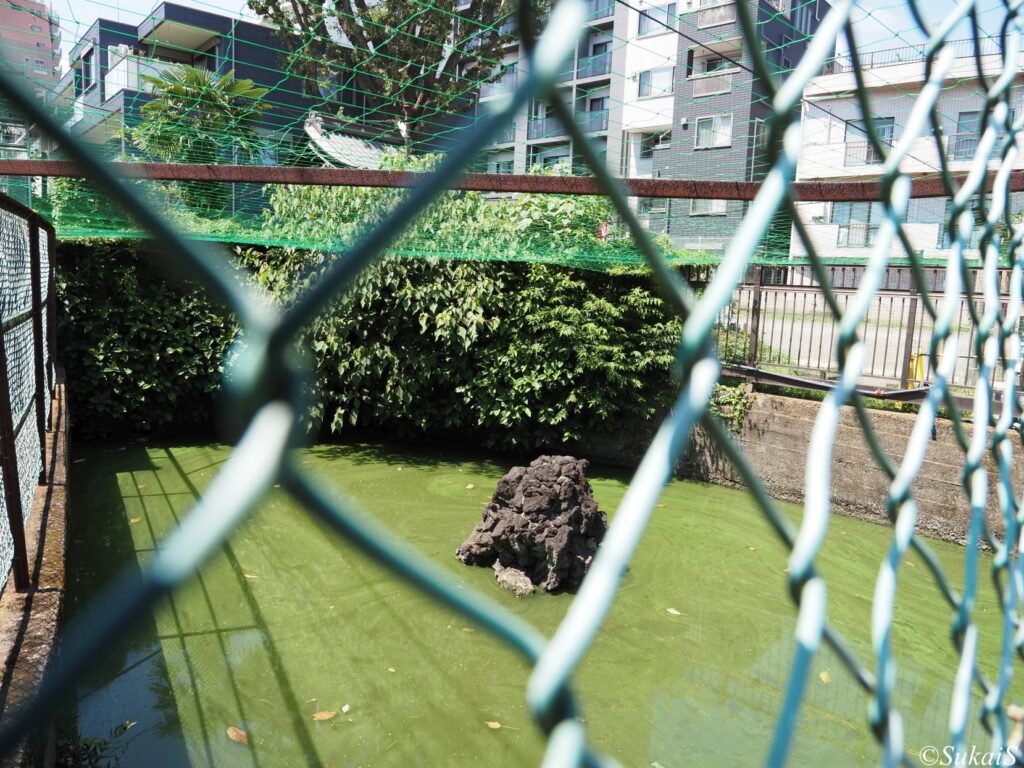 瀧王子の水神池