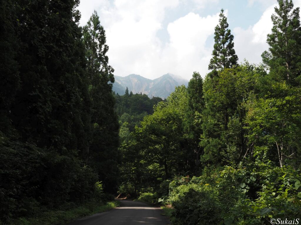 鳥甲山の東側の林道