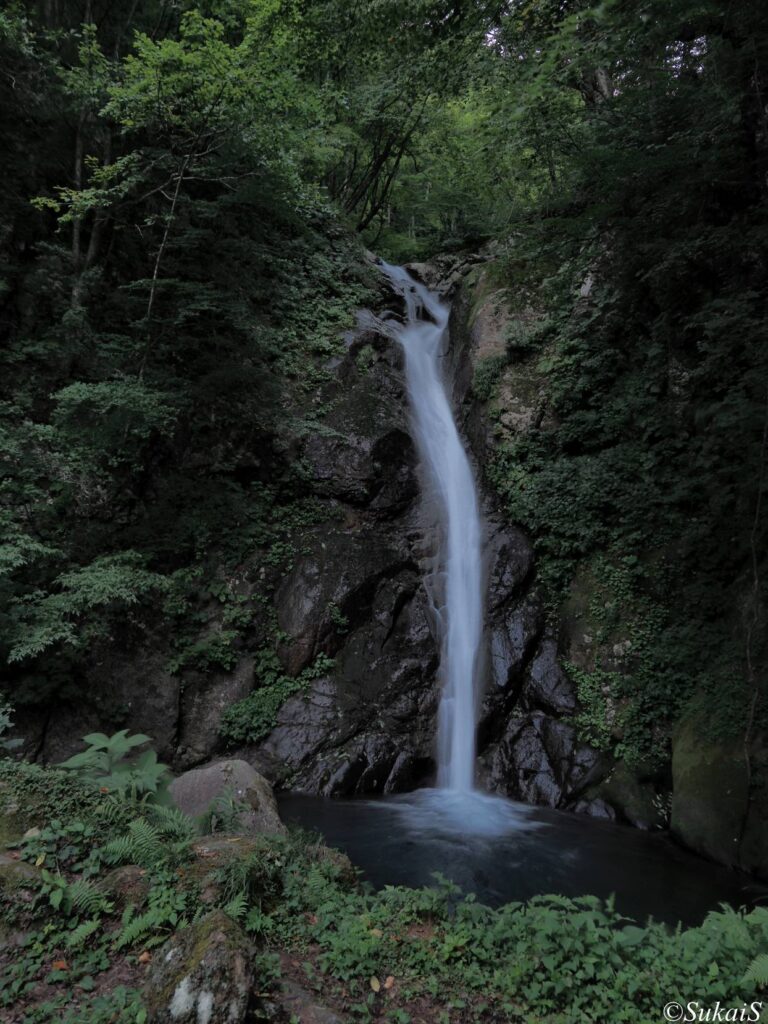 早朝の大ゼンノ滝