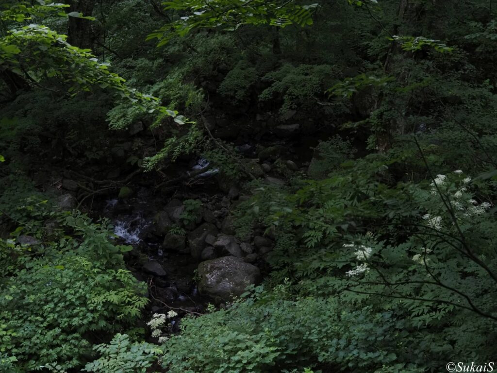 小赤沢川