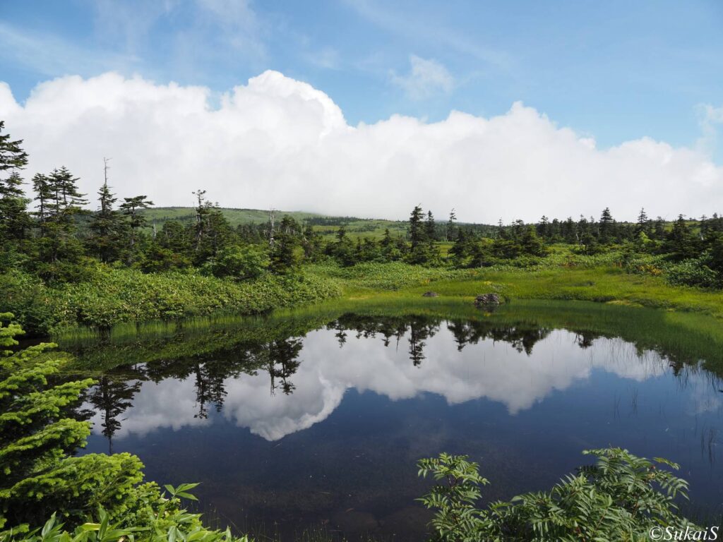 龍ノ峰のあたりの池糖