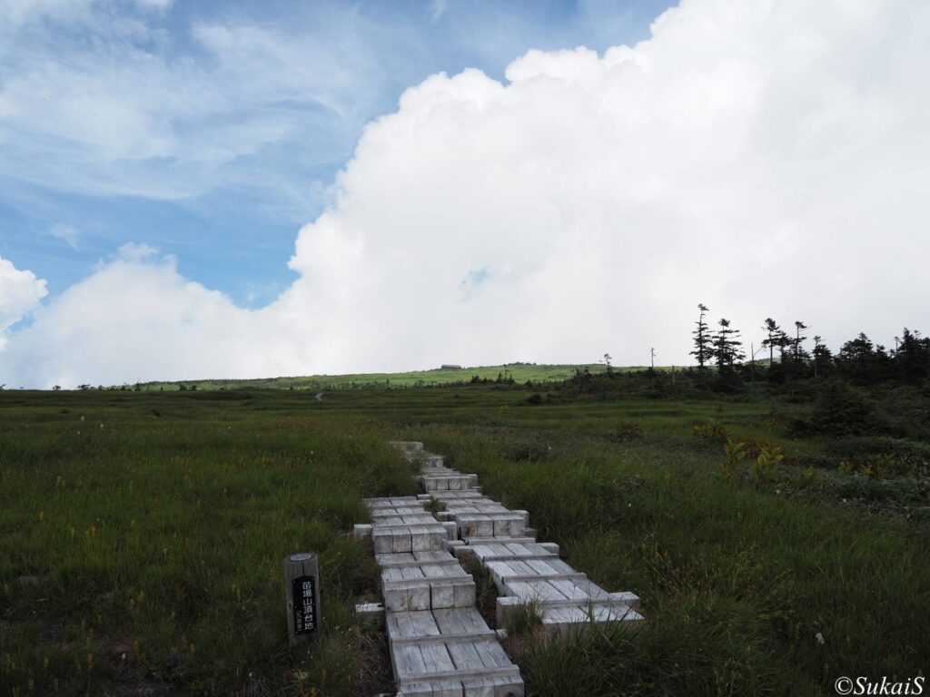 昌次新道降下点から山頂方向の眺め