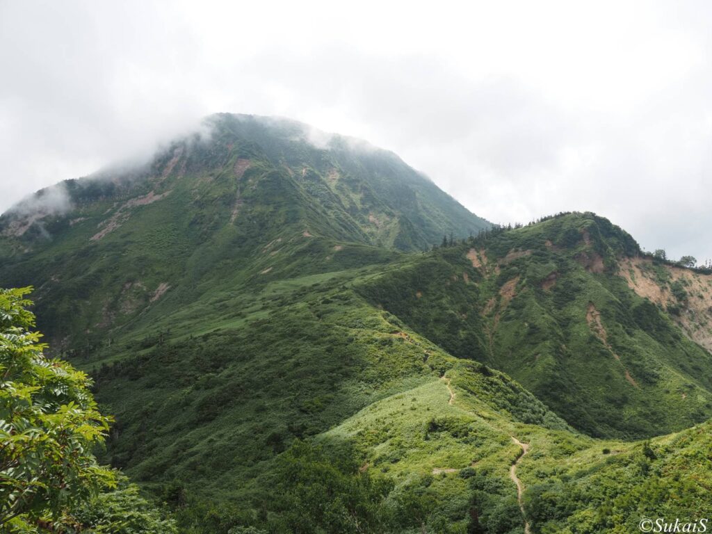 神楽ヶ峰からの苗場山の眺め