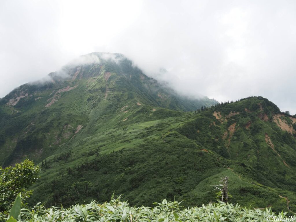 神楽ヶ峰からの苗場山の眺め