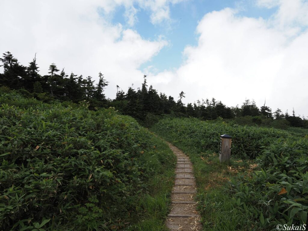 秡川コースを降りていく
