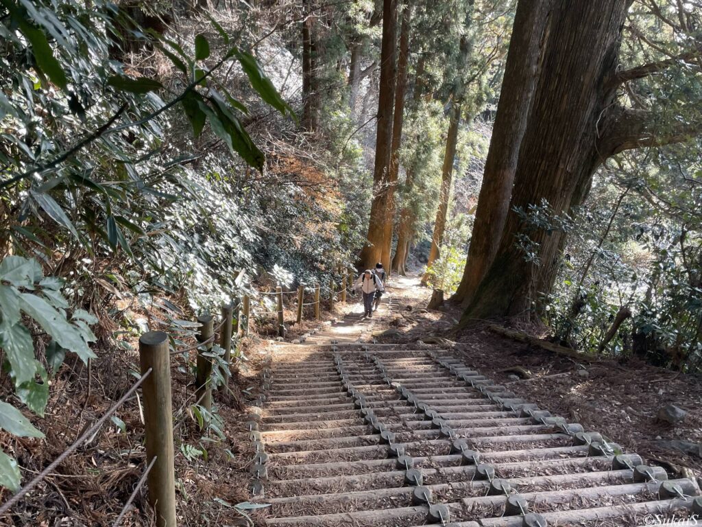 御幸ヶ原コース