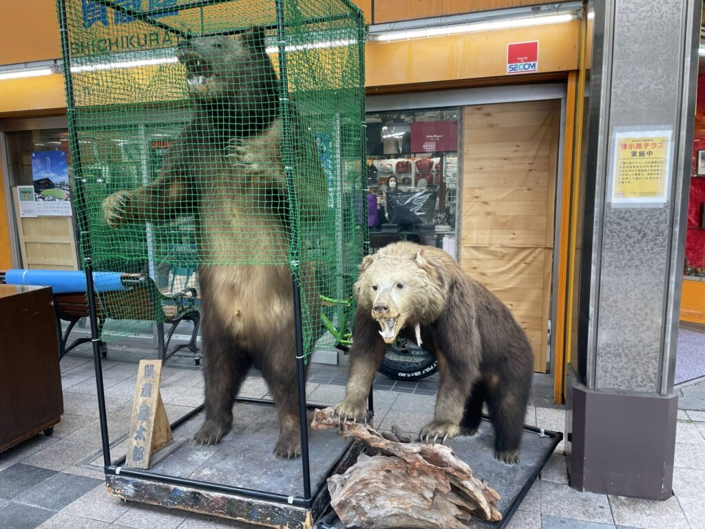 骨とう品屋のヒグマのはく製